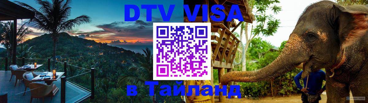 Сколько стоит DTV виза — актуальные цены, оформление даже без документов - Багдад  04.10.2025 